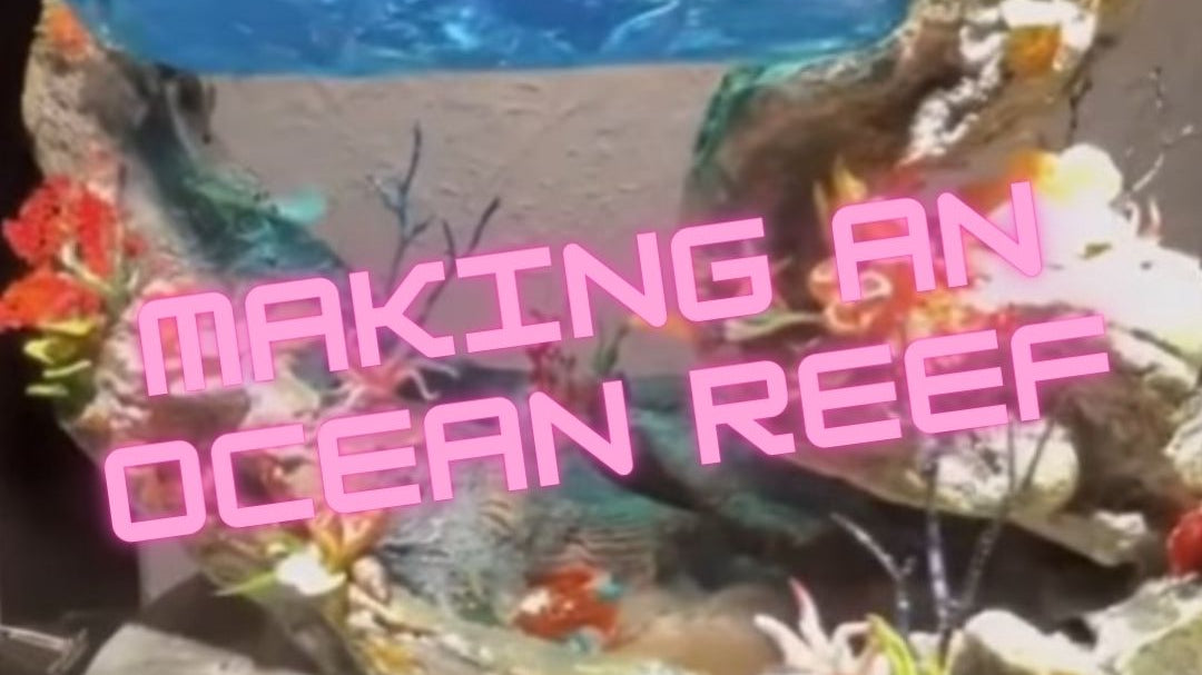 Making an Ocean Reef Scene with The Epoxy Resin Store