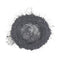 Black Onyx - Professional grade mica powder pigment - The Epoxy Resin Store Embossing Powder #