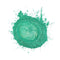 Green Envy - Professional grade mica powder pigment - The Epoxy Resin Store Embossing Powder #