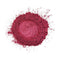 Savage - Professional grade mica powder pigment - The Epoxy Resin Store Embossing Powder #